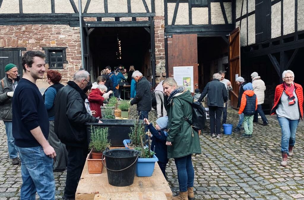 Großer Andrang im Kräutergarten