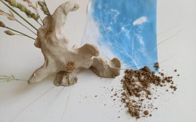 Kunst aus Natur – mach mit!